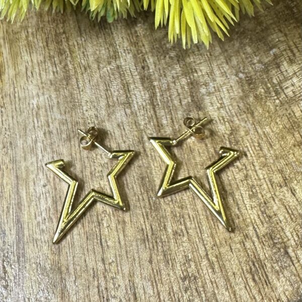 Star earrings