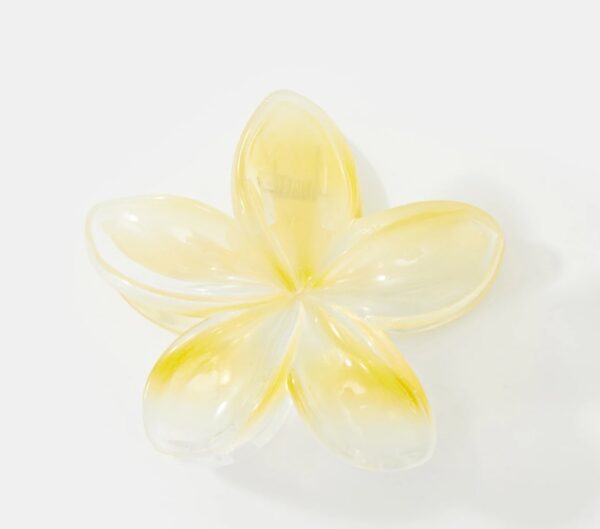 Solid hair clip - Image 4