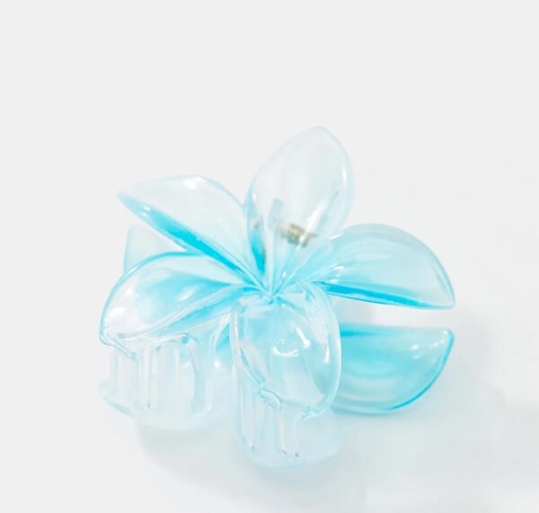 Solid hair clip